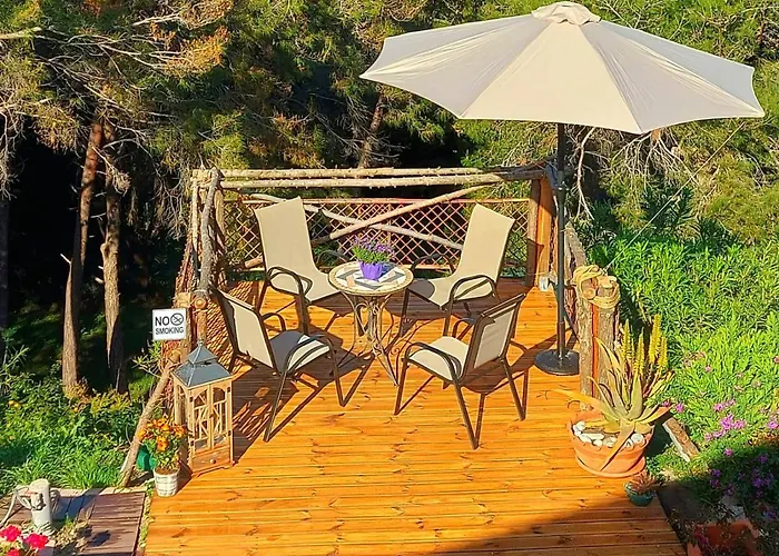 Villa Rene